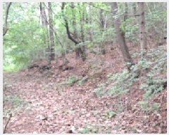  2025Ÿ63268  ֽ  õ 135-3      (Ӿ)