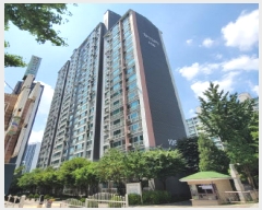  2025Ÿ��63270  ����Ʈ���