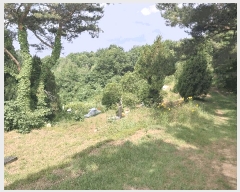  2025Ÿ63280  ֽ  帮 100      (Ӿ)