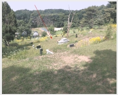  2025Ÿ63280  ֽ  帮 100      (Ӿ)