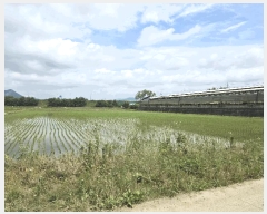  2025Ÿ63285  ֽ ź ฮ 782-1      ()