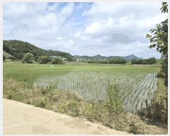  2025Ÿ63285  ֽ ź ฮ 782-1      ()