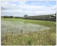  2025Ÿ63285  ֽ ź ฮ 782-1      ()