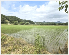  2025Ÿ63285  ֽ ź ฮ 782-1      ()