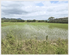  2025Ÿ63285  ֽ ź ฮ 782-1      ()