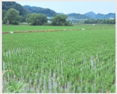  2025Ÿ63285  ֽ ź ฮ 782-1      ()