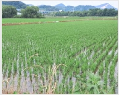  2025Ÿ63285  ֽ ź ฮ 782-1      ()