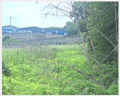  2025Ÿ63303  ֽ ո  821-2      (1)