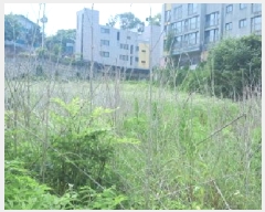  2025Ÿ63303  ֽ ո  821-2      (1)