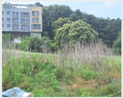  2025Ÿ63303  ֽ ո  821-2      (1)