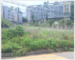  2025Ÿ63303  ֽ ո  821-2      (1)