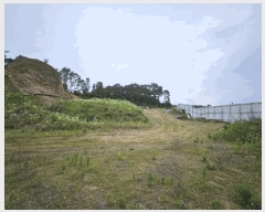  2025Ÿ63411  ֽ  ϸ 390-1      (Ӿ)