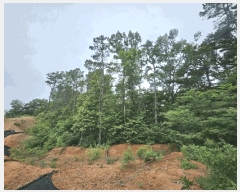  2025Ÿ63411  ֽ  ϸ 390-1      (Ӿ)