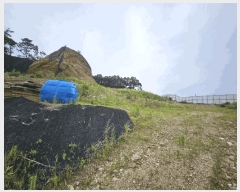  2025Ÿ63411  ֽ  ϸ 390-1      (Ӿ)