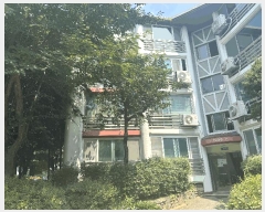  2025Ÿ63737   ϻ굿 鼮 1145 ۸ 1008 2201ȣ   ټ,