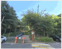  2025Ÿ��64035  �Ӿ߰��