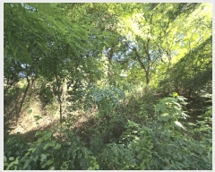  2025Ÿ��64035  �Ӿ߰��