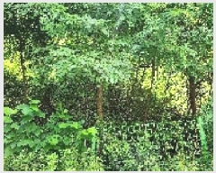  2025Ÿ��64035  �Ӿ߰��