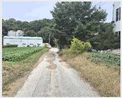  2025Ÿ��64362  �����ü����