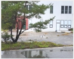  2025Ÿ��64362  �����ü����