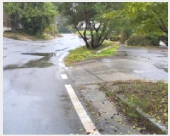  2025Ÿ��64362  �����ü����