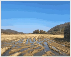  2025Ÿ��64551  ����