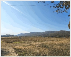  2025Ÿ��64551  ����