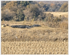  2025Ÿ��64551  ����