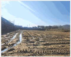  2025Ÿ��64551  ����