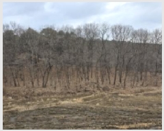  2025Ÿ��64725 ��� ���ֽ� ������ ������ ��88-4      ����(�Ӿ�)���