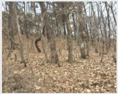  2025Ÿ��64725 ��� ���ֽ� ������ ������ ��88-3      ����(�Ӿ�)���