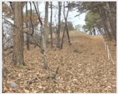  2025Ÿ��64725 ��� ���ֽ� ������ ������ ��88-3      ����(�Ӿ�)���