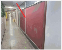  2025Ÿ��64725 ��� ���ֽ� ������ ������ ��88-3      ����(�Ӿ�)���