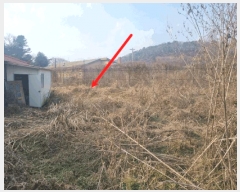  2025Ÿ��64725 ��� ���ֽ� ������ ������ ��88-3      ����(�Ӿ�)���