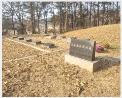  2025Ÿ��64725 ��� ���ֽ� ������ ������ ��88-3      ����(�Ӿ�)���