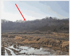  2025Ÿ��64725 ��� ���ֽ� ������ ������ ��88-3      ����(�Ӿ�)���