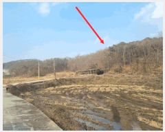  2025Ÿ��64725 ��� ���ֽ� ������ ������ ��88-4      ����(�Ӿ�)���