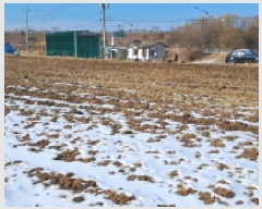  2025Ÿ��330 ��� ���ֽ� ������ ������ 49-4      ����(��1)���