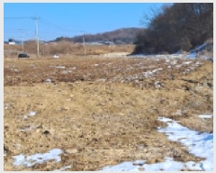  2025Ÿ��330 ��� ���ֽ� ������ ������ 49-4      ����(��1)���