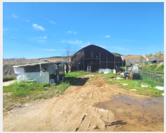  2025Ÿ��1791 ��� ���ֽ� �ߵ��� 923       ����(��)���