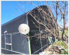  2025Ÿ��1791 ��� ���ֽ� �ߵ��� 923       ����(��)���