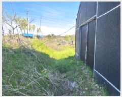  2025Ÿ��1791 ��� ���ֽ� �ߵ��� 923       ����(��)���