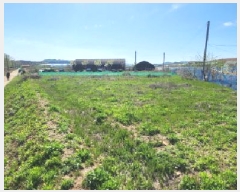  2025Ÿ��1791 ��� ���ֽ� �ߵ��� 923       ����(��)���