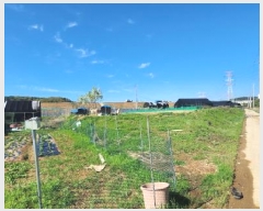  2025Ÿ��1791 ��� ���ֽ� �ߵ��� 923       ����(��)���