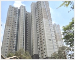  2025Ÿ2121   ϻ굿 Ļ絿 1510 Ƽ3 306 191902ȣ   Ʈ