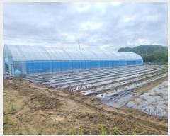  2025Ÿ��2282  �����