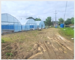  2025Ÿ��2282  �����