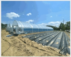  2025Ÿ��2282  �����