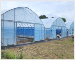  2025Ÿ��2282  �����