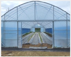  2025Ÿ��2282  �����